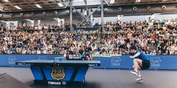 恭喜樊振东！喜提德甲生涯首胜，竞技状态回温3-1胜克罗地亚名将