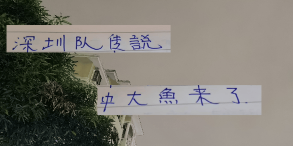 中超第29轮 申花打深圳更加难了！因为他们引进了一个英超射手