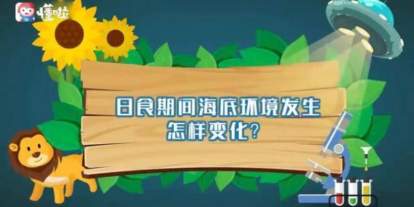 本泽马金球奖赛季，皇马欧冠夺冠核心