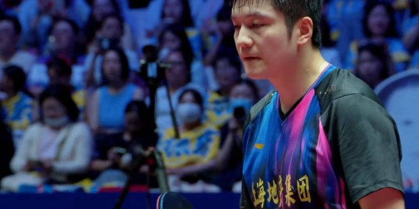 樊振东12连胜，无人能敌！德甲前一战不败，王楚钦非对手