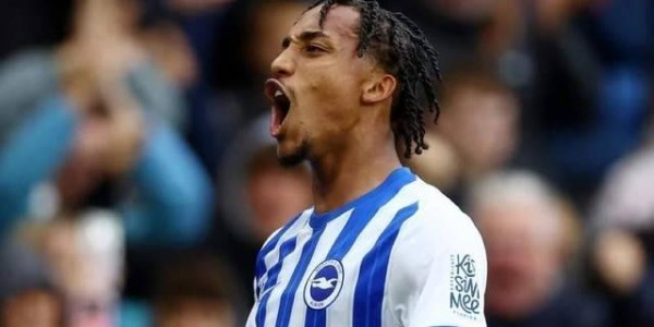 蓝军专挖海鸥？5000万英镑买入新中锋，三年在布莱顿这花了三亿欧