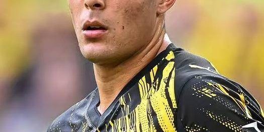 切尔西转会动态：多特蒙德发布感伤视频，安塞尔米诺在重返斯坦福桥前道别