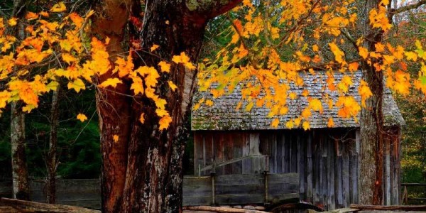 西甲毕尔巴鄂竞技与尼科・威廉姆斯续约至2035年