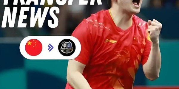 樊振东欧冠首秀“开门红”！俱乐部超好条件挽留，续约可能性很大