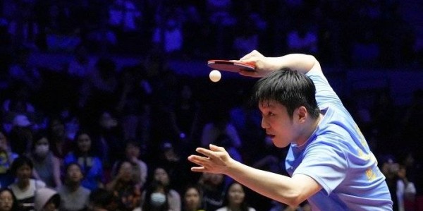 樊振东下半年真的“活”了！德甲开售立马售罄，热情根本挡不住