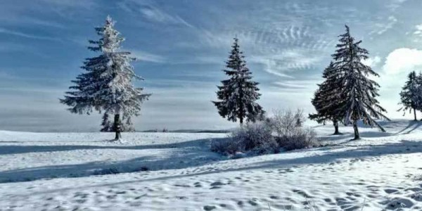 欧联杯决赛或成曼联赛季转折点